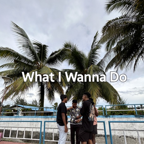 What I Wanna Do cover art