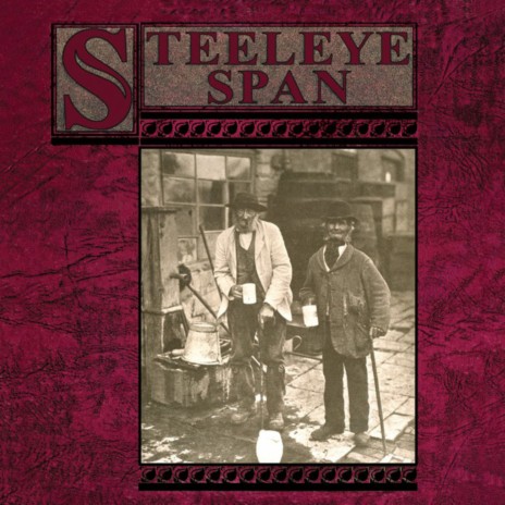 Four Reels (College Grove / Silver Spear / Ballymurphy Rake / Maid Behind The Bar) (BBC Radio 1 In Concert With John Peel) cover art
