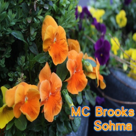 Sohma cover art