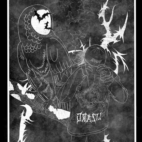 YZP cover art