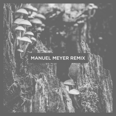 Kepler (Manuel Meyer Remix) ft. Stephan Zovsky cover art