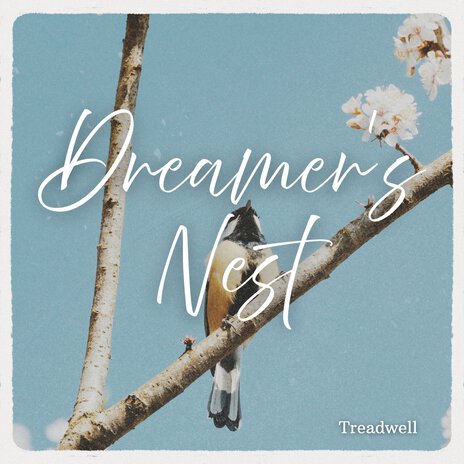 Dreamer's Nest cover art