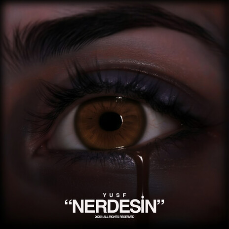 Nerdesin cover art