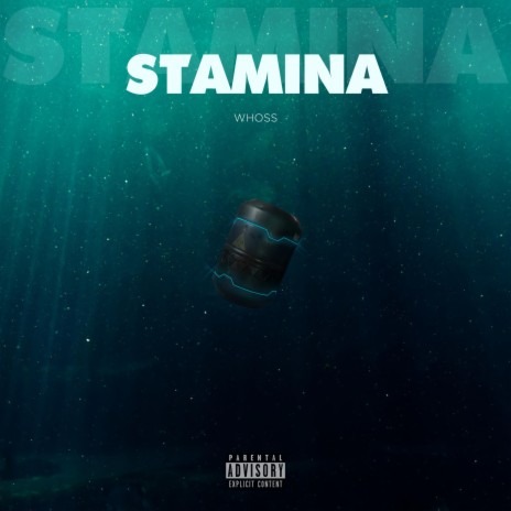 Stamina cover art