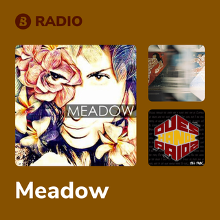 Meadow Radio