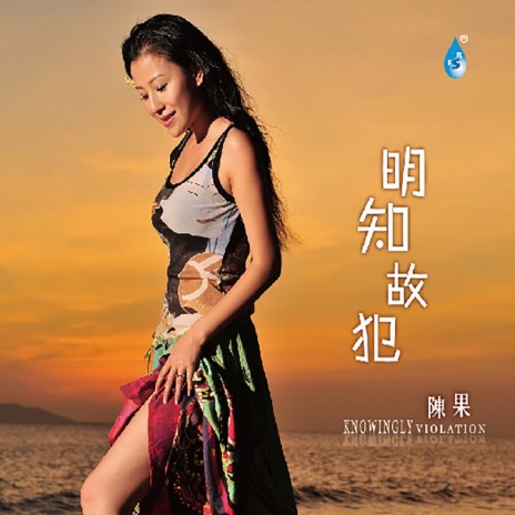 一对对 cover art