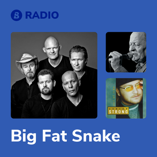 Big Fat Snake Radio