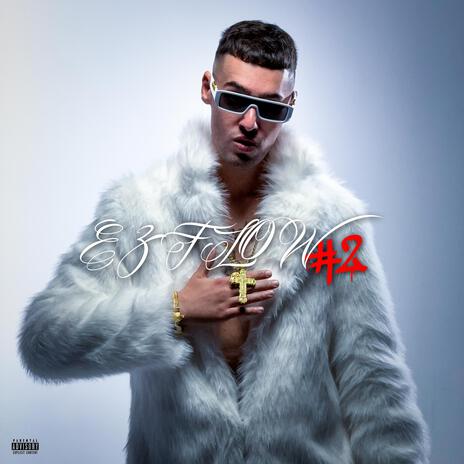 Stupidi cover art