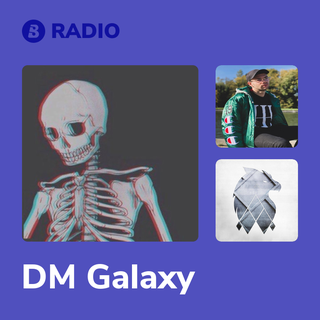 DM Galaxy Radio
