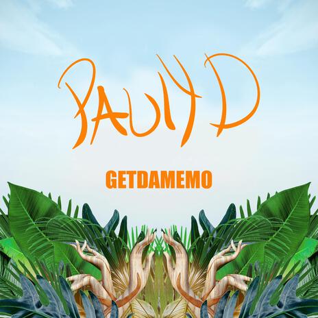 Pauly D cover art