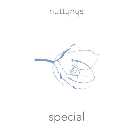 Special (Radio Edit)