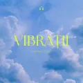 Vibrații (Remix)