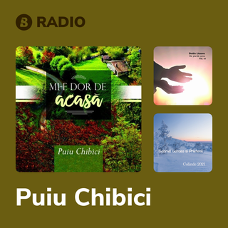 Puiu Chibici Radio