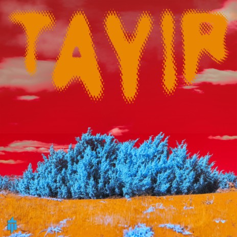 Tayir cover art