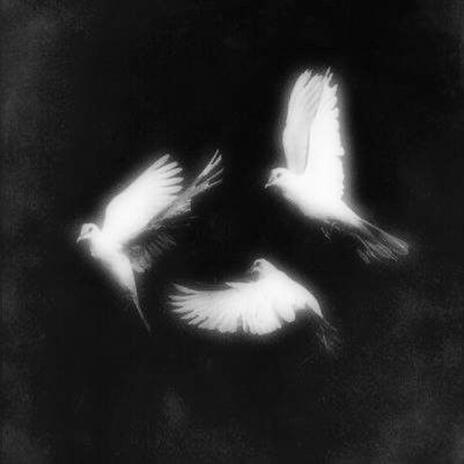 Judith cover art
