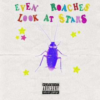 Even Roaches Look At Stars