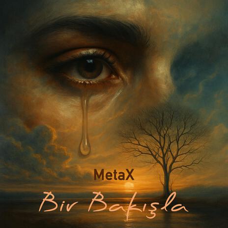 Bir Bakışla