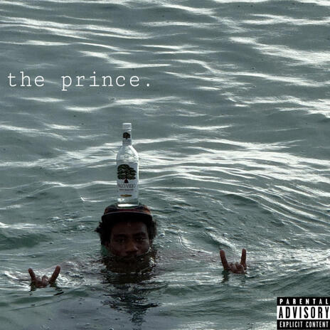 stupid_fool cover art