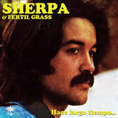 Reflexión ft. Fertil Grass cover art
