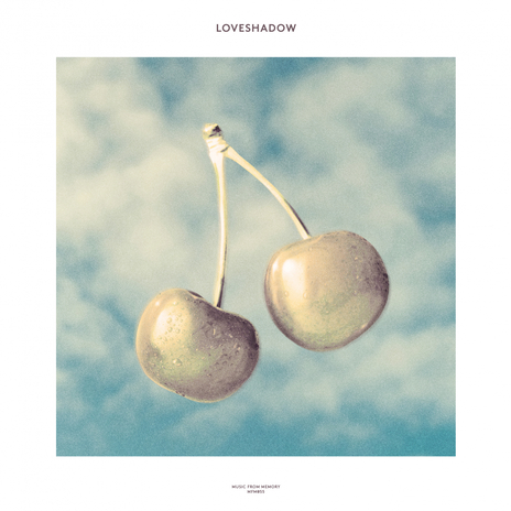 Wildflowers cover art