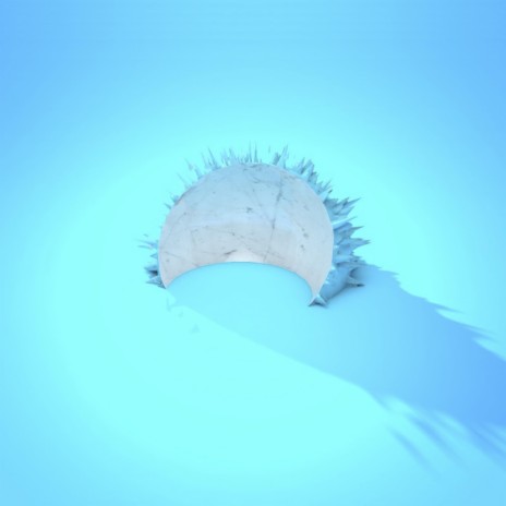 Rinse cover art