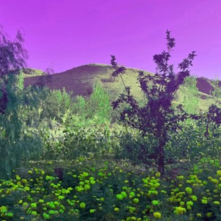 Color Blind