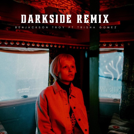 DarkSide (REMIX) ft. Trisha Gomez cover art