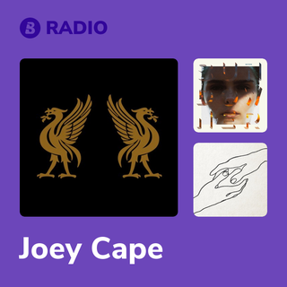 Joey Cape Radio