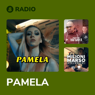 PAMELA Radio