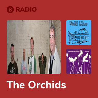 The Orchids Radio