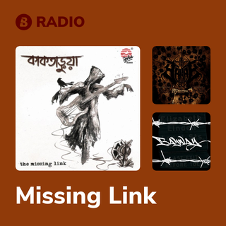 Missing Link Radio