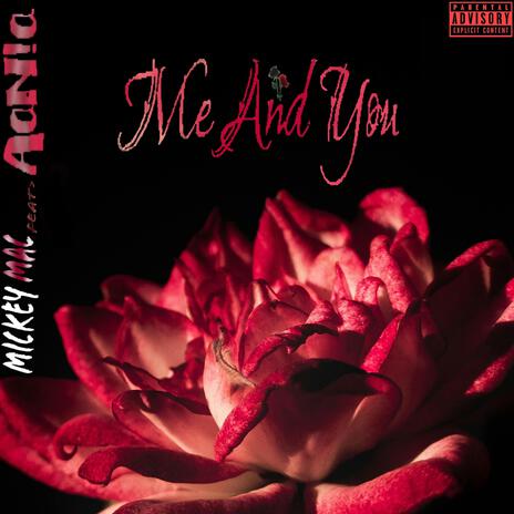 Me And You ft. AaNia cover art