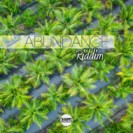 Abundance Riddim cover art