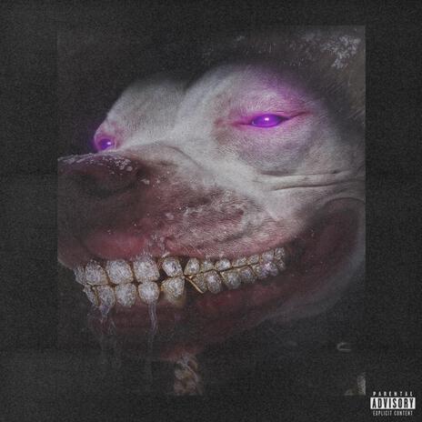 MAD DAWG