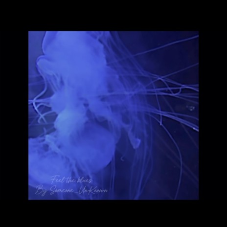 Feel the blues cover art