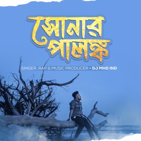 Sonar Palonko cover art