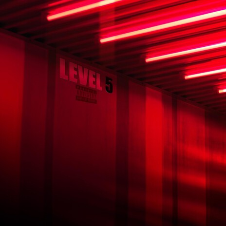LEVEL 5 cover art