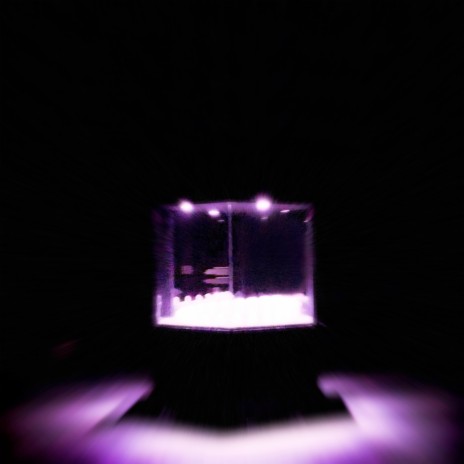 Sweetie ft. KBLUE, TO KYO & D.Humberto cover art