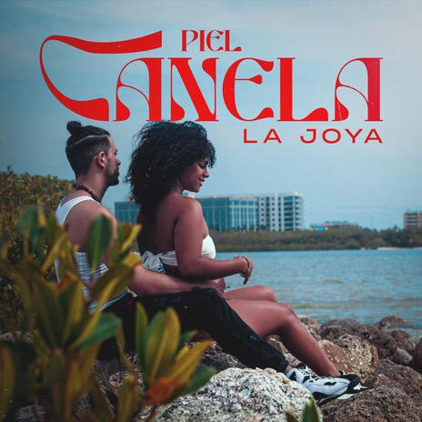 Piel Canela cover art