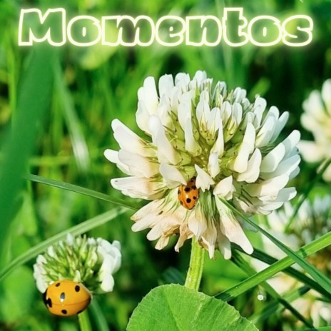 Momentos cover art