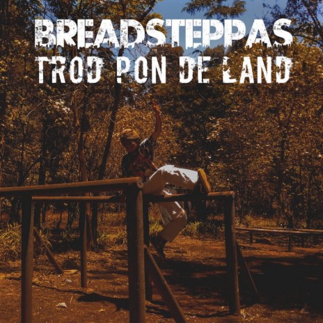 Trod Pon De Land (Dub) cover art