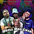 Drill dos Cria ft. Mc Constituição & Ippão