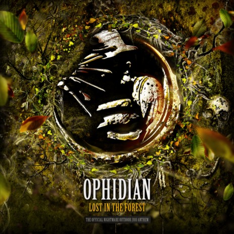 Lost in the Forest cover art
