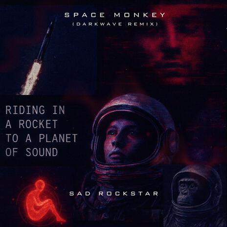 Space Monkey (Darkwave Remix) cover art