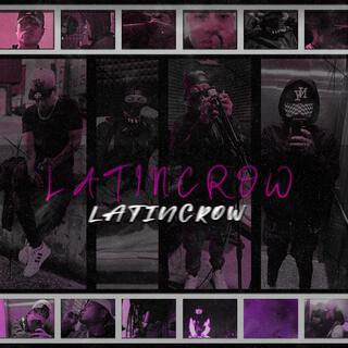 LatinCrow