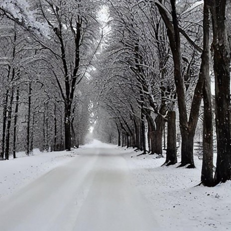 Winter Chill cover art