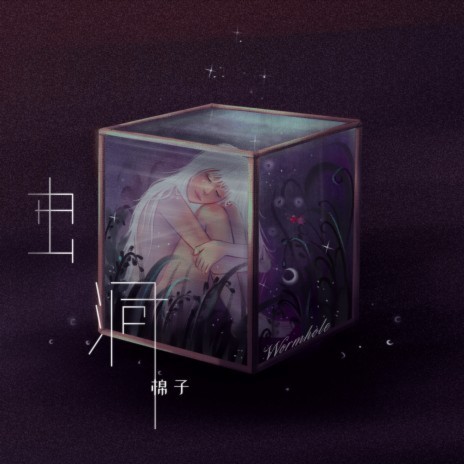 Wormhole cover art
