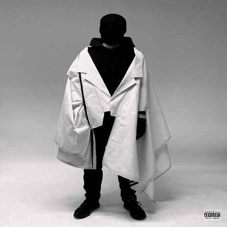 Dalmatian cover art