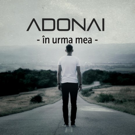 In Urma Mea cover art