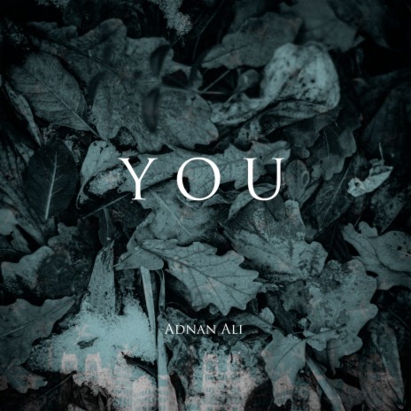 You ft. Z4NE cover art